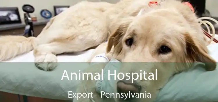 Animal Hospital Export - Pennsylvania