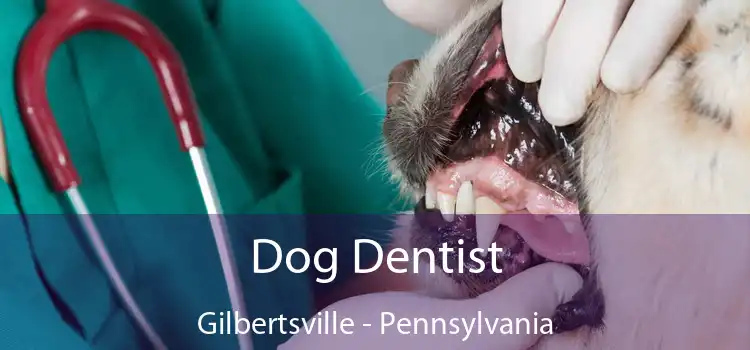 Dog Dentist Gilbertsville - Pennsylvania