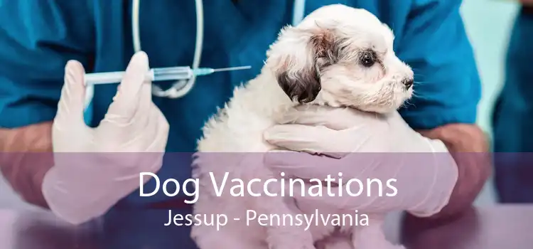 Dog Vaccinations Jessup - Pennsylvania