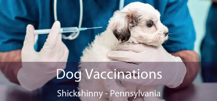 Dog Vaccinations Shickshinny - Pennsylvania