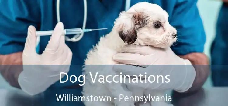 Dog Vaccinations Williamstown - Pennsylvania