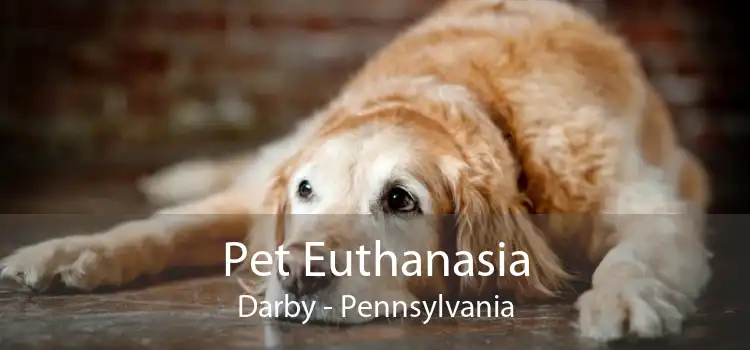 Pet Euthanasia Darby - Pennsylvania