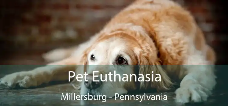 Pet Euthanasia Millersburg - Pennsylvania