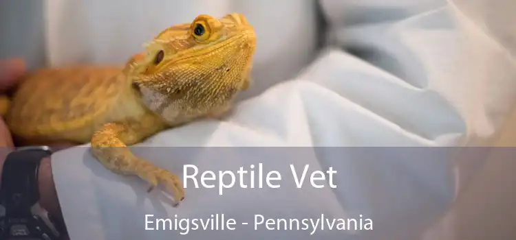 Reptile Vet Emigsville - Pennsylvania