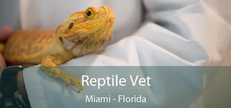 Reptile Vet Miami - Florida