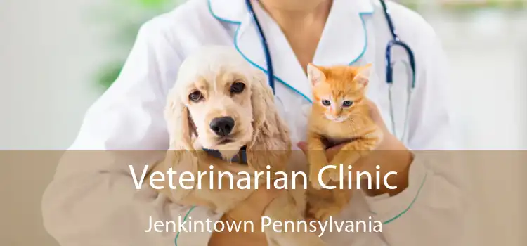 Veterinarian Clinic Jenkintown Pennsylvania